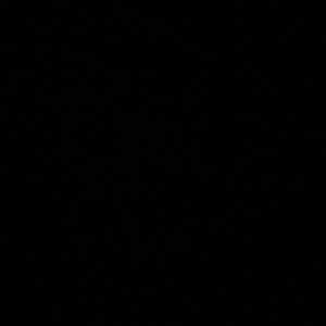 Meet your Posher, Nayeli